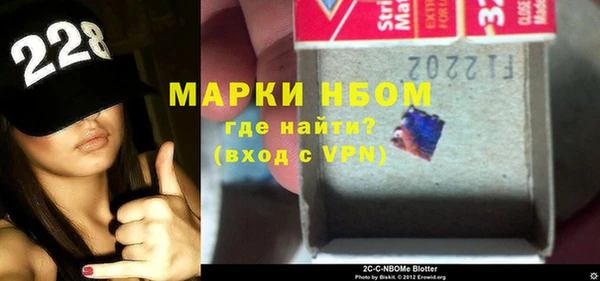прущие грибы Аркадак