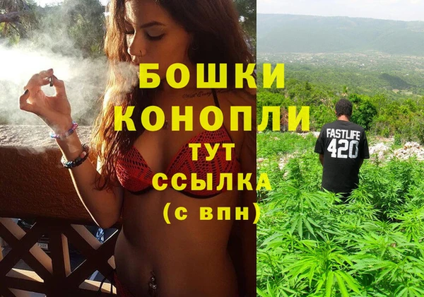 дурь Арсеньев