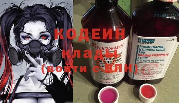 прущие грибы Аркадак