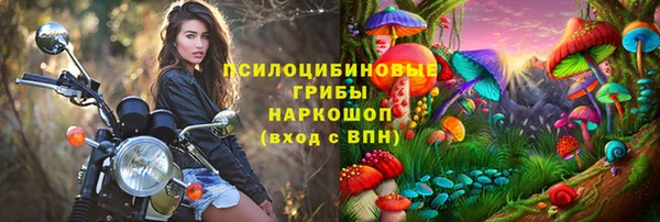 дурь Арсеньев