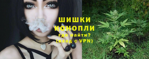 дурь Арсеньев