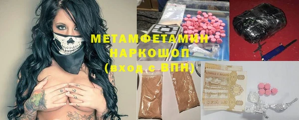 прущие грибы Аркадак