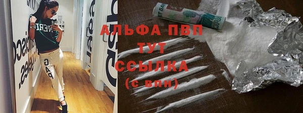 прущие грибы Аркадак