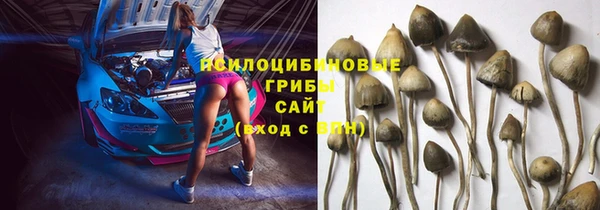 a pvp Армянск
