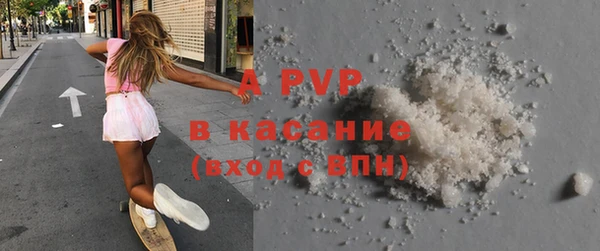 прущие грибы Аркадак