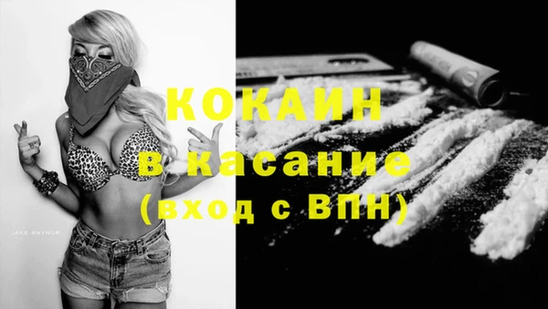дурь Арсеньев