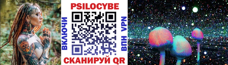 Псилоцибиновые грибы Psilocybine cubensis  цена   Саяногорск 